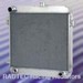 Manta Radiator ROM